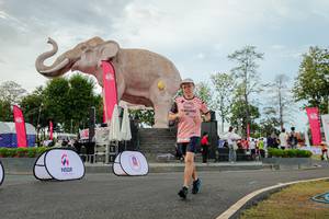 BIB: 
                            <button type="button" onclick="openModal(26528679)" class="btn btn-primary btn-sm float-right btn-popup" data-toggle="modal" data-target=".modal-high-quality">
                        <i class="fas fa-shopping-cart"></i> Add to Cart
                    </button>
                                            <button type="button" onclick="isThisMe(26528679, true)" class="btn btn-success btn-sm float-right btn-popup btn-isme hidden" data-toggle="tooltip" data-placement="bottom" title="นี่คือรูปของคุณใช่ไหม คลิกที่นี่เพื่อเอาเข้าอัลบั้ม">
                        <i class="fas fa-plus"></i> Add to album
                    </button>
                    <button type="button" onclick="isThisMe(26528679, false)" class="btn btn-warning btn-sm float-right btn-popup btn-isnotme hidden">
                        <i class="fas fa-ban"></i> Remove from album
                    </button>